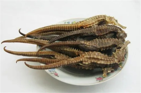 干海马可以吃吗