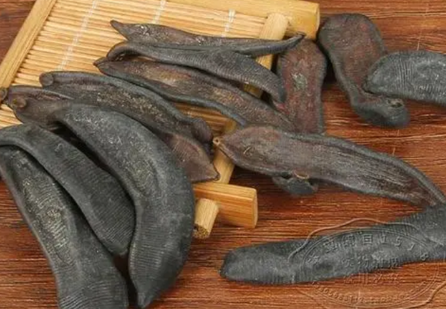 什么水蛭药效最好