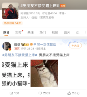 男朋友不接受猫上床,引起网友热议 男朋友不接受猫上床,引起网友热议