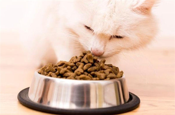 嘻嘻来了猫粮是不是毒粮 嘻嘻来了猫粮是不是毒粮