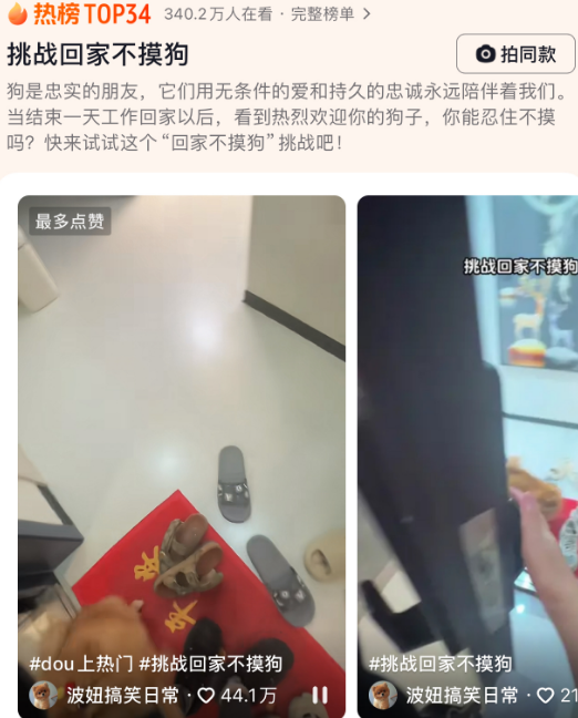 挑战回家不摸狗,你能忍住不摸吗? 挑战回家不摸狗,你能忍住不摸吗?