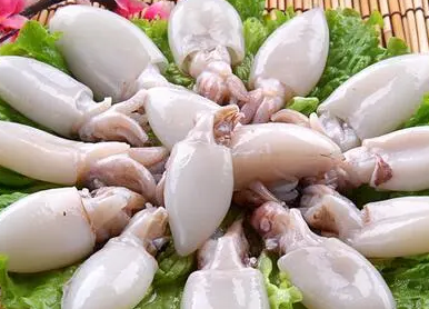 墨鱼怎么保存才新鲜