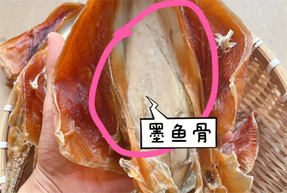 墨鱼骨的妙用 墨鱼骨的妙用