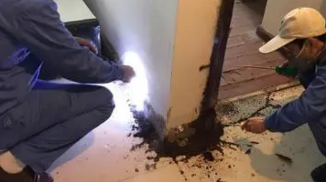 白蚁灭治收费