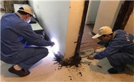 白蚁防治费多少
