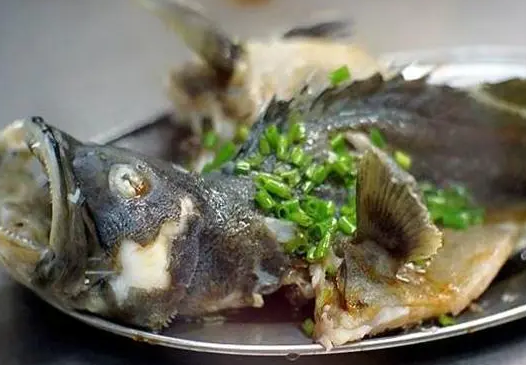 石斑鱼宝宝可以吃吗 石斑鱼宝宝可以吃吗