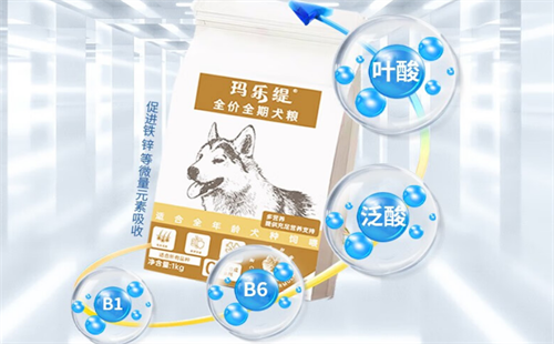 玛乐缇