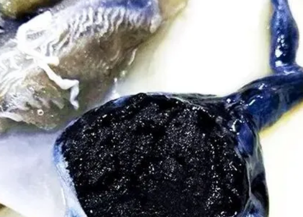 墨斗鱼里的墨能吃吗