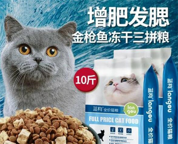 蓝枸猫粮：猫咪的健康美食，真的能吃吗？