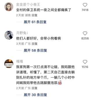 狗腿子突然一滑，网友热议“稳如老狗”