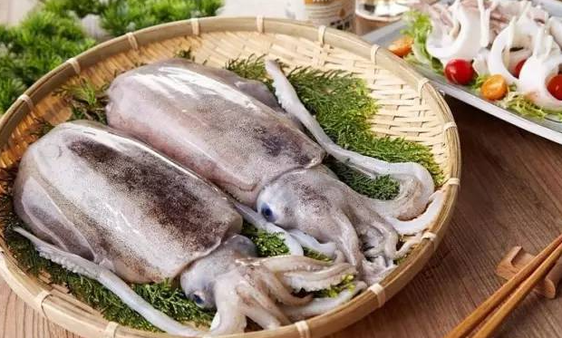 怀孕能吃墨鱼么