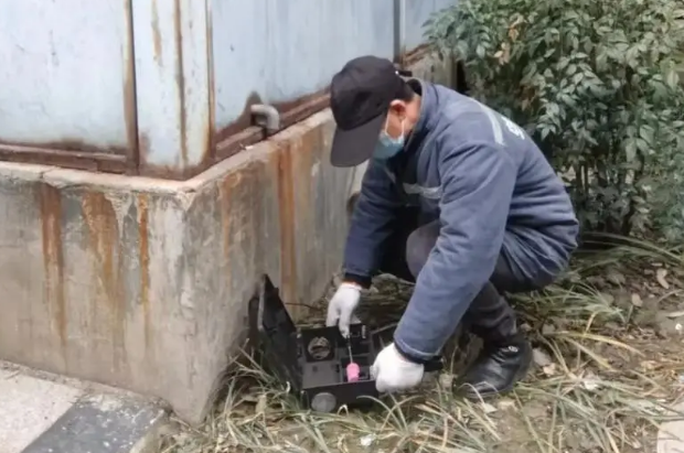 如何彻底根除白蚁 如何彻底根除白蚁