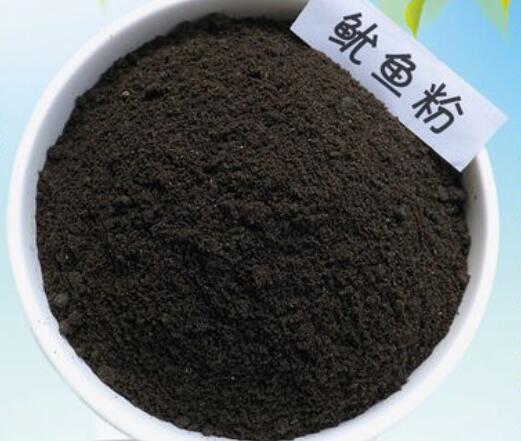 乌贼粉是什么 乌贼粉是什么