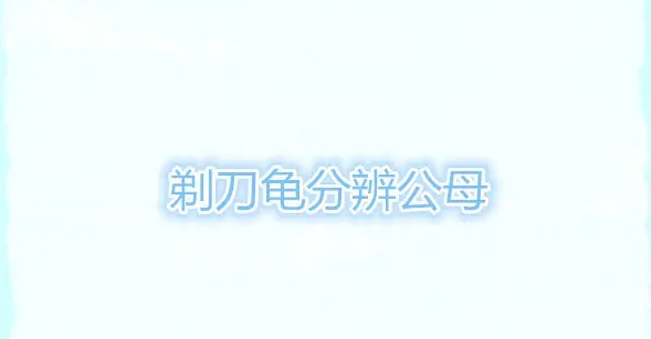 如何区分剃刀龟公母?教你几个辨别方法 如何区分剃刀龟公母?教你几个辨别方法