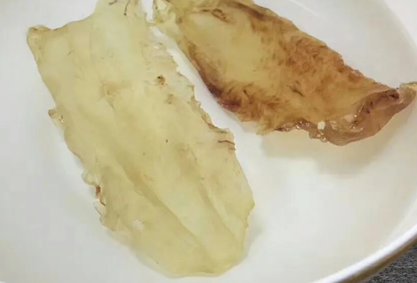 鳕鱼胶好还是石斑鱼胶好