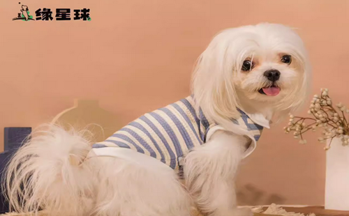 缘星球