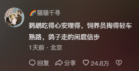 鹈鹕又偷吃同事了？网友：这精神状态很超前啊！