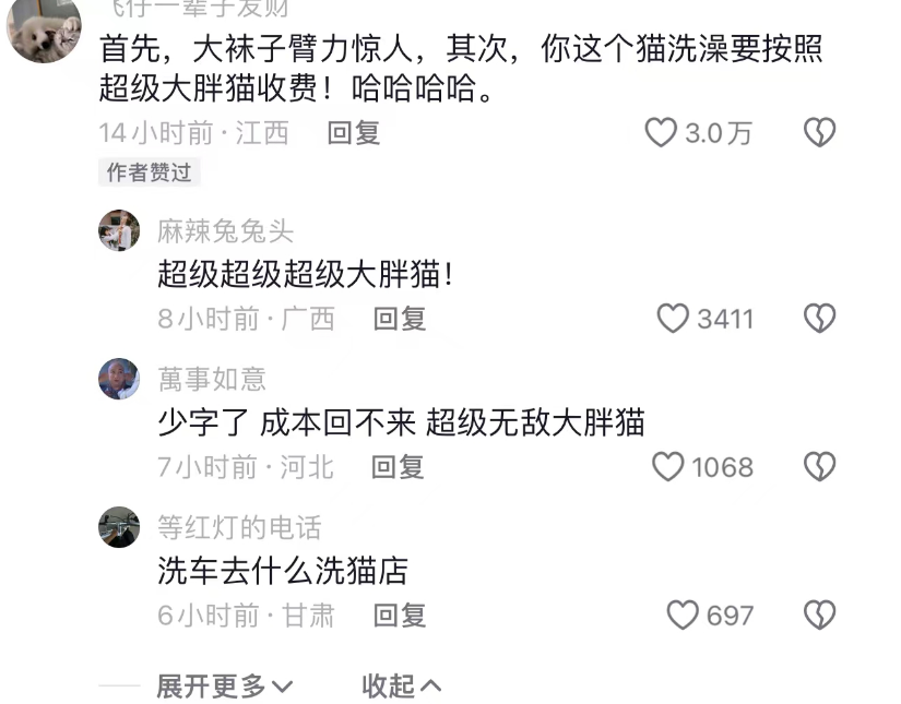 当你有一只肥猫就会很显瘦，网友：胳膊都快赶上你了