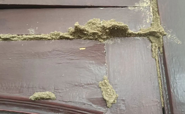 白蚁防治费用标准