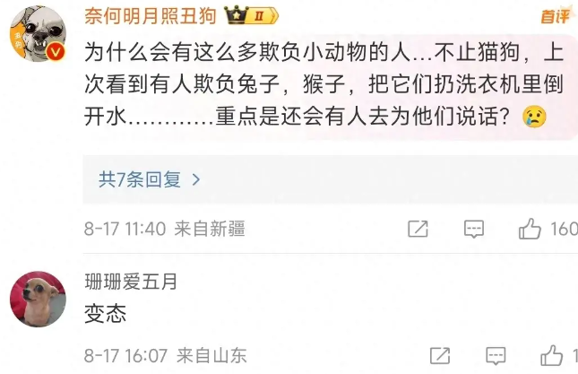 男子向流浪猫喷洒不明液体,猫和人受伤 男子向流浪猫喷洒不明液体,猫和人受伤