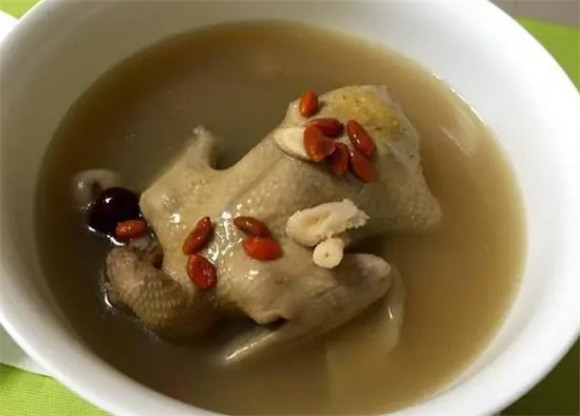 病人能吃鸽子吗 病人能吃鸽子吗