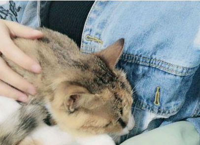 隔着衣服被猫抓了一下 隔着衣服被猫抓了一下