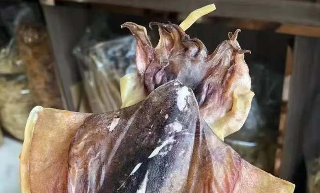 墨斗鱼的好处