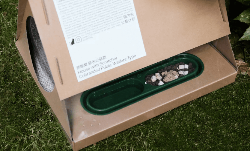 「pidan」携手喜茶以及公益平台「它基金」一同发起「六一特别企划」 「pidan」携手喜茶以及公益平台「它基金」一同发起「六一特别企划」