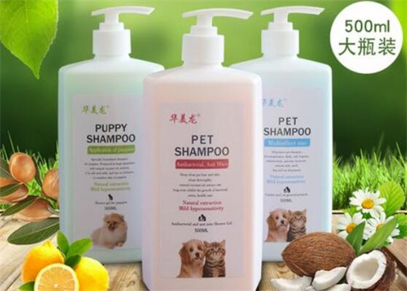 华美龙宠物用品:全方位呵护你的毛孩子 华美龙宠物用品:全方位呵护你的毛孩子