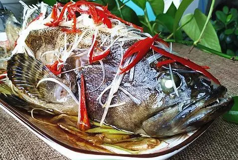 石斑鱼的几种做法 石斑鱼的几种做法