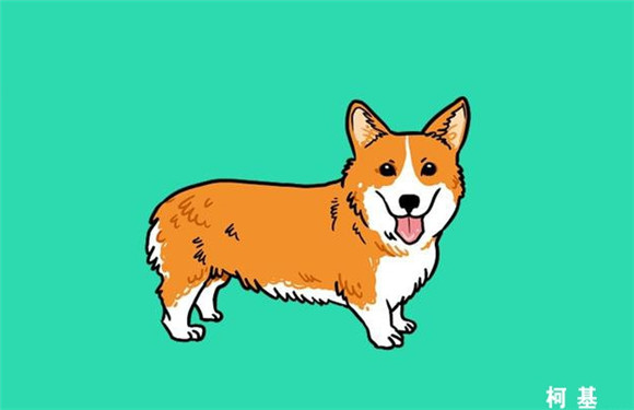 狗狗品种大观园:16种常见犬类优缺点全解析 狗狗品种大观园:16种常见犬类优缺点全解析