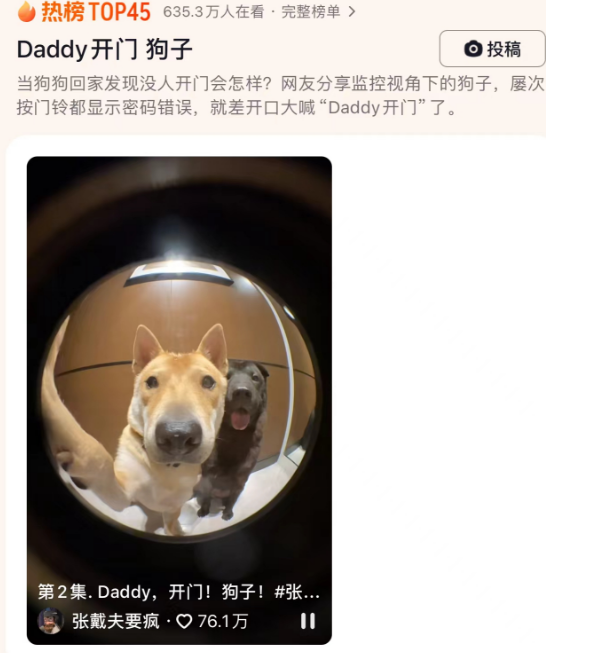 狗子屡次按门铃都显示密码错误，就差开口大喊“Daddy开门”了。