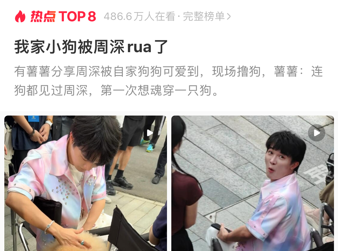 网友：我家小狗被周深rua了！