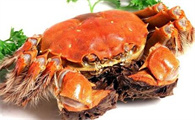 探析在炎热的夏季大闸蟹需要如何保存呢？