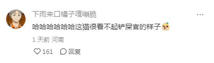 这小眼神邪恶银渐层实锤了！网友：邪恶银渐层果然名不虚传~