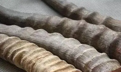 羚羊角粉的功能主治