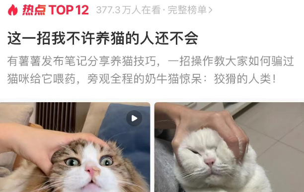 网友热议：这一招我不许养猫的人还不会！