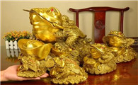 金蝉到底怎么摆放是正确的