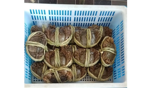 江苏大闸蟹养殖技术，了解一下