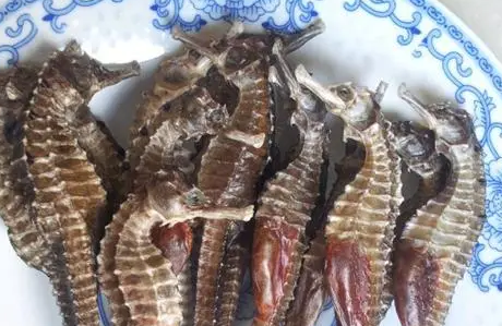 海马一斤多少钱