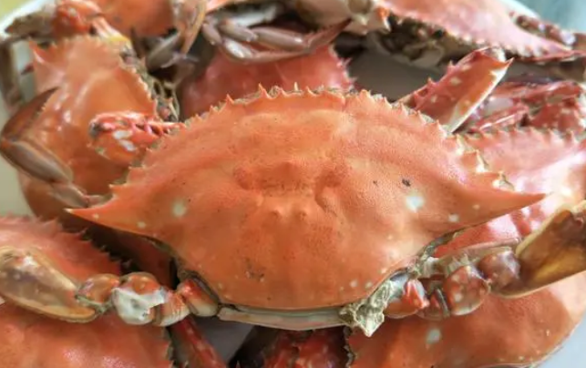 飞蟹母的有黄吗 飞蟹母的有黄吗