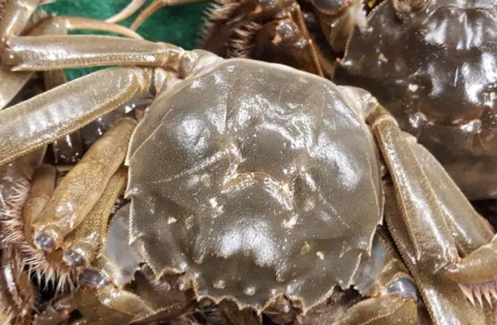 河蟹如何冷冻保存
