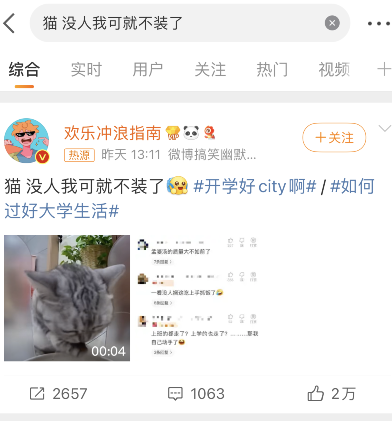  猫没人我可就不装了，直接上手干饭