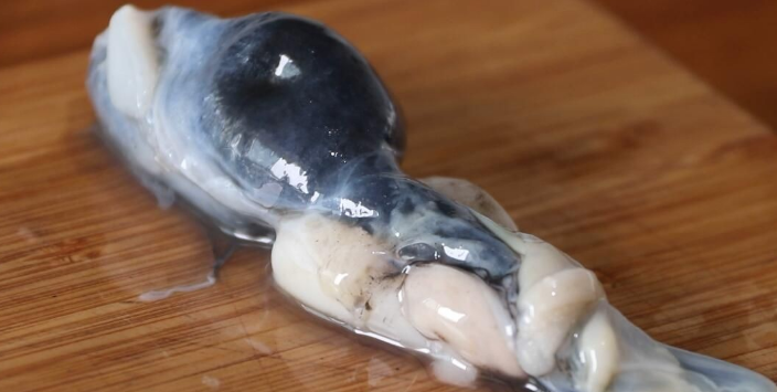 墨鱼哪个部位不能吃 墨鱼哪个部位不能吃