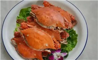 东海船蟹是梭子蟹吗
