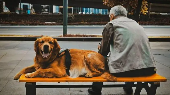 养狗对于老年人有帮助吗