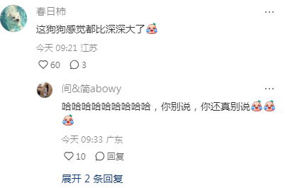 网友:我家小狗被周深rua了! 网友:我家小狗被周深rua了!