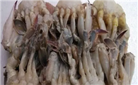 冰冻的螃蟹怎么解冻