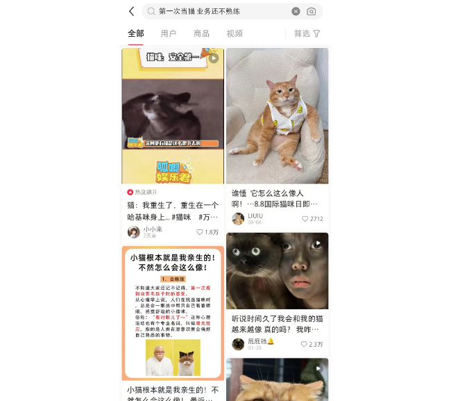 第一次当猫 业务还不熟练？