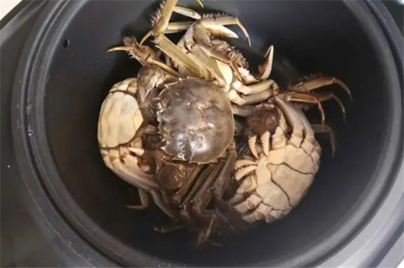 电饭锅怎么蒸大闸蟹